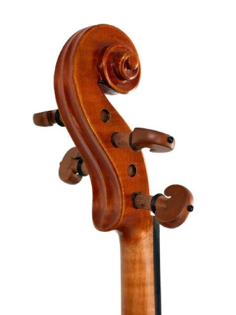 Close-up of a violin scroll and tuning pegs against a white background. The polished wood displays a rich brown color with visible grain, reflecting the craftsmanship characteristic of the Eastman VL200 4/4 Violin.