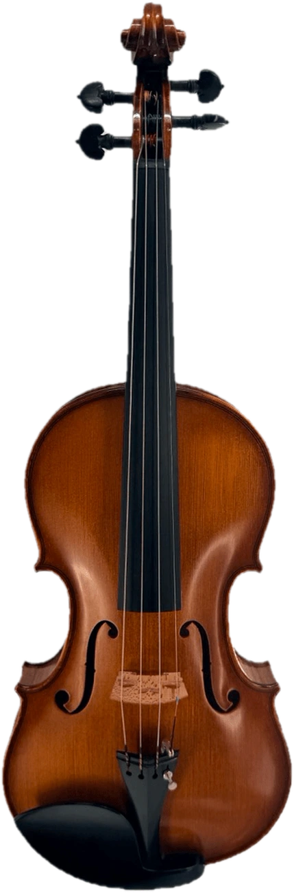 Luce Sebastian Professional Instrument