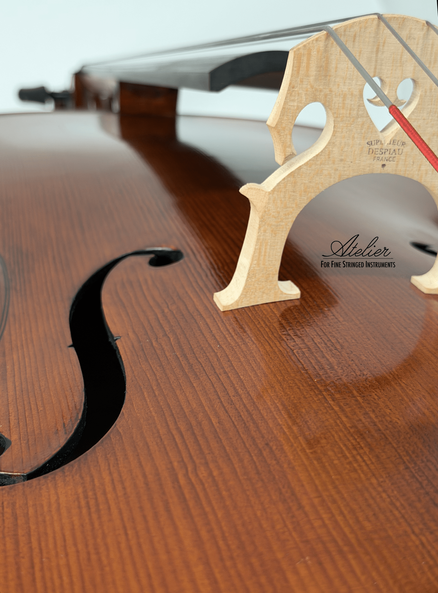 Close-up of the Juzek 303 Cello, highlighting the wooden bridge labeled "Atelier for Fine Stringed Instruments," strings, f-hole, and part of the polished brown German-made body.