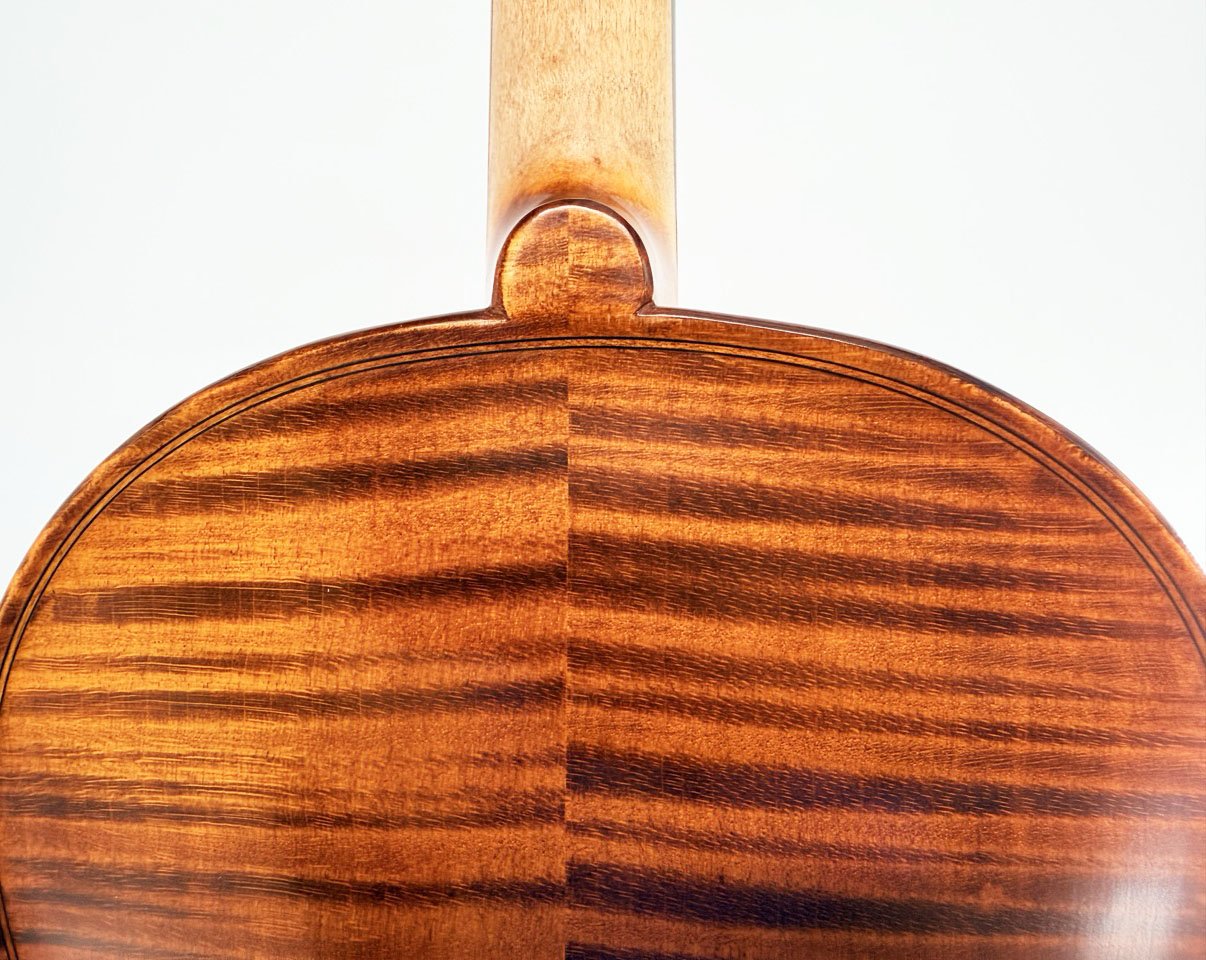 Close-up of the back of the Luce Sebastian Professional Instrument, showcasing rich brown wood grain patterns crafted from premium tonewoods and a smooth, glossy finish against a plain white background.