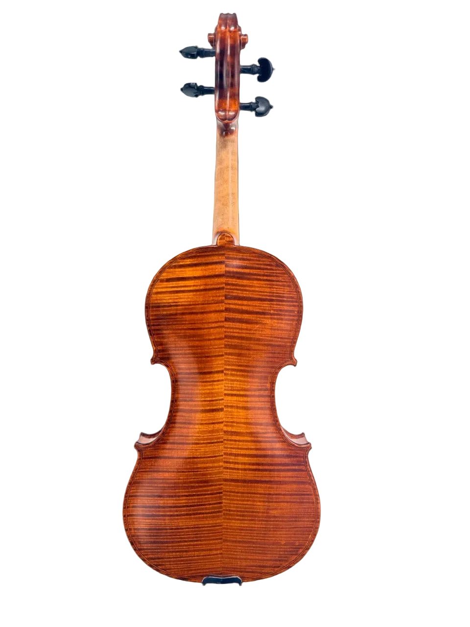 The back view of a wooden violin showing its rich, glossy brown wood grain, neck, and black tuning pegs against a light gray background.