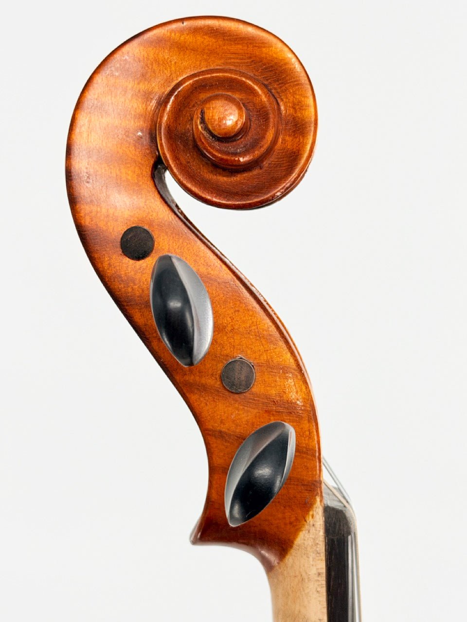 Close-up of an Octav Mures Romanian Intermediate Violin scroll, featuring the carved wooden spiral and tuning pegs against a plain white background—professionally set up by Atelier.