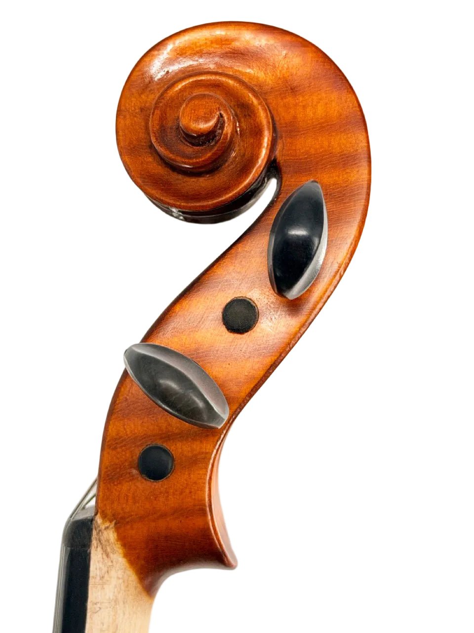 Close-up of Octav Mures violin scroll side shot