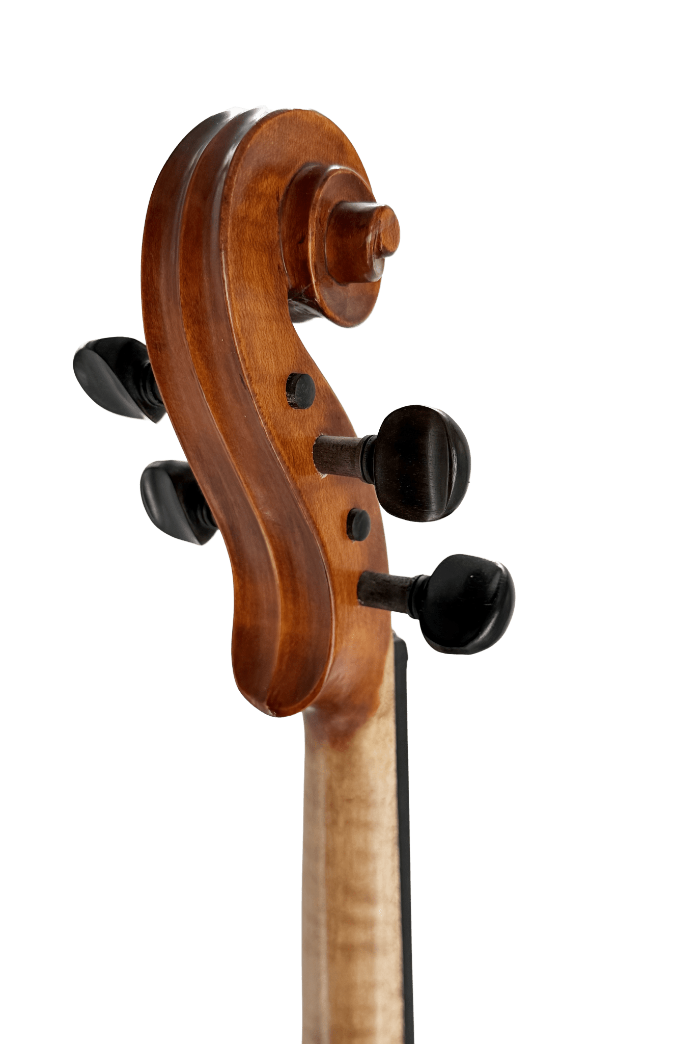Close-up view of the Octav Mures Viola scroll and black tuning pegs against a white background. Crafted from Carpathian tonewoods, this elegant instrument showcases a warm brown finish and beautifully curved scroll.
