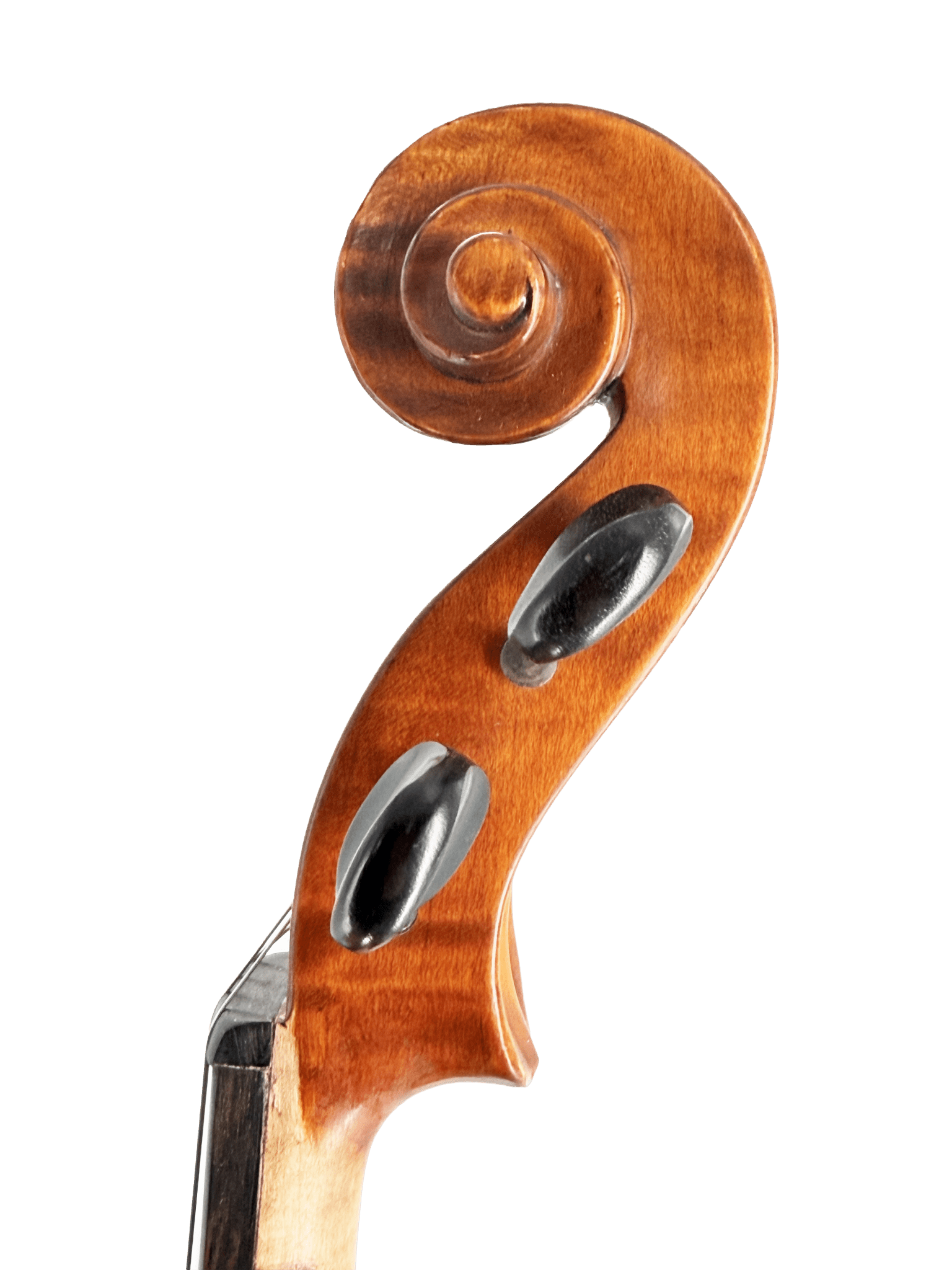 Close-up of the Octav Mures Viola scroll and pegs against a white background, highlighting the carved wooden spiral and dark tuning pegs of this fine stringed instrument crafted from Carpathian tonewoods.