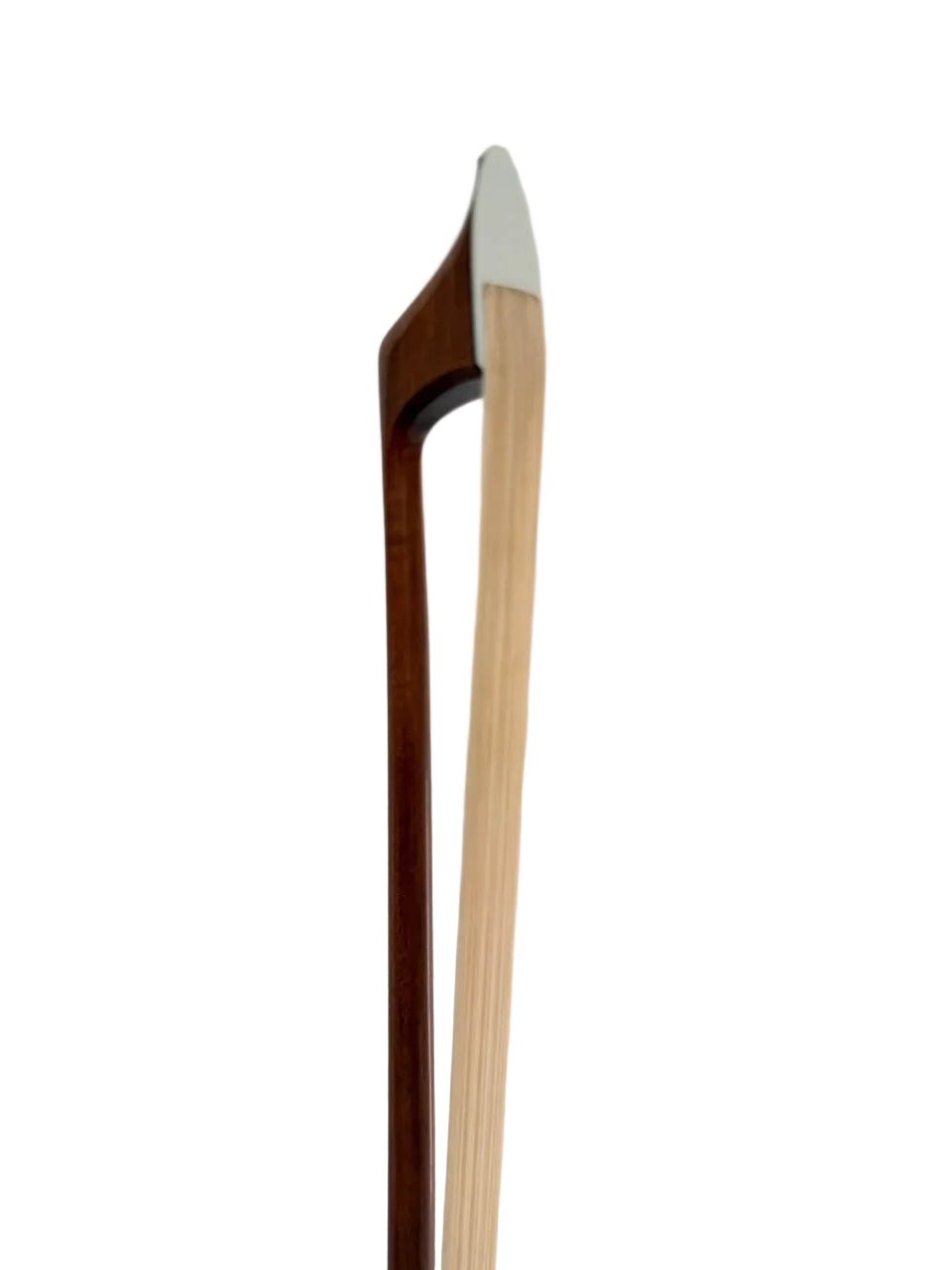 Close-up of the tip of a Pernambuco Cello Bow, Silver Mount, featuring a light-colored tip plate and Mongolian horsehair, isolated on a white background.