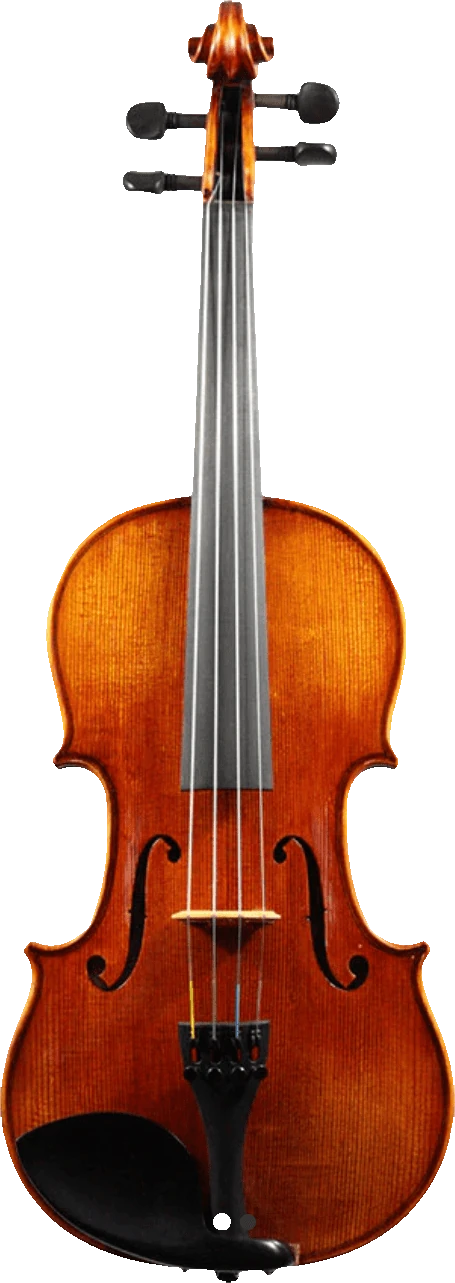 Atelier Violin Outfit Special