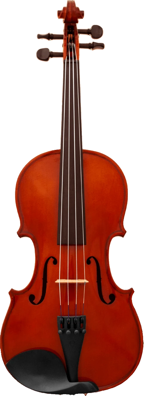 Canzona Allegro Violin Outfit