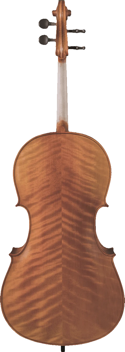 Canzona Caprice 300 Cello Outfit, back