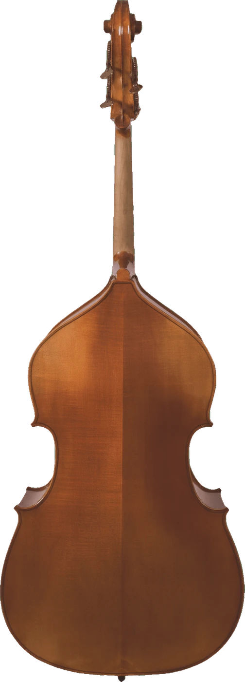 Canzona 300 Caprice Bass, back
