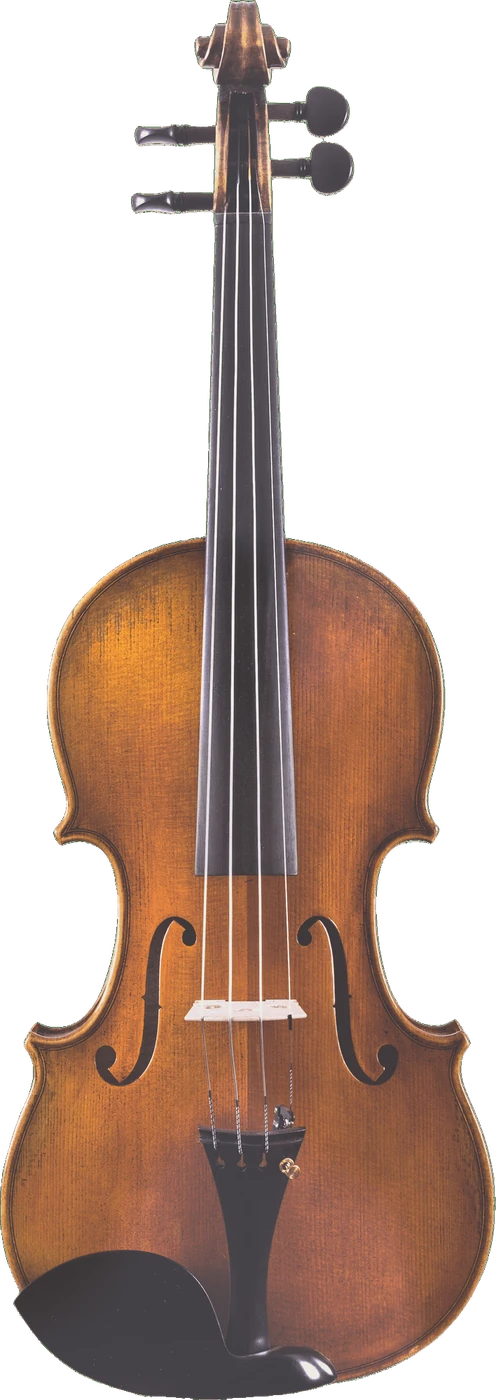 Canzona Lorenzo Intermediate Violin Outfit