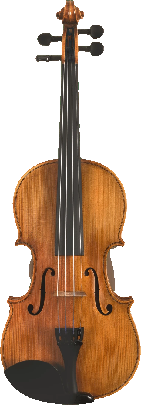 Canzona Milano 400 Series Viola Outfit