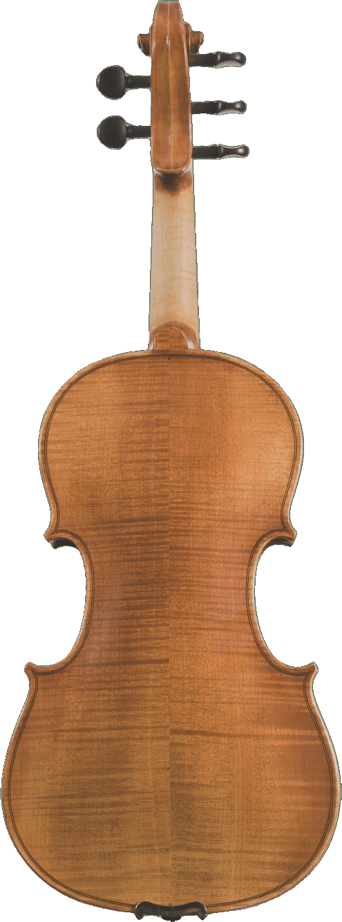 Canzona Violina Cinque 5-String Violin, back
