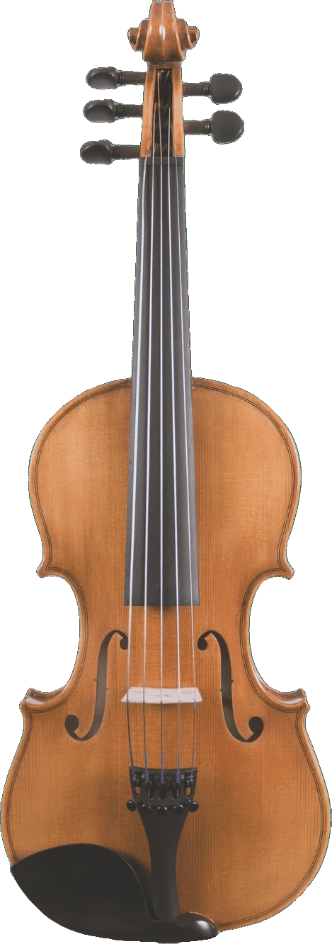Canzona Violina Cinque 5-String Violin