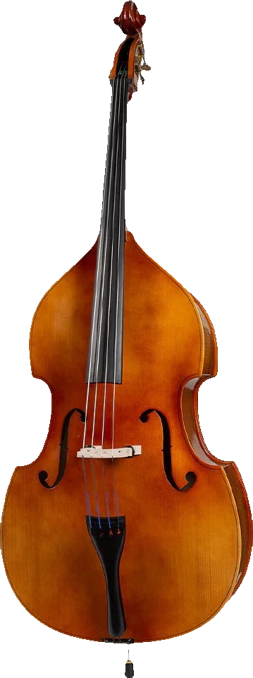 CORE ACADEMY A43 BASS