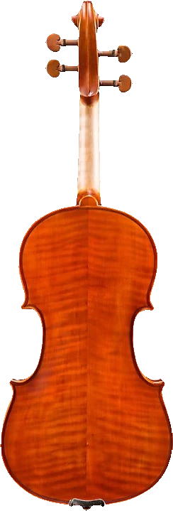 Eastman VL200 4/4 Violin, back