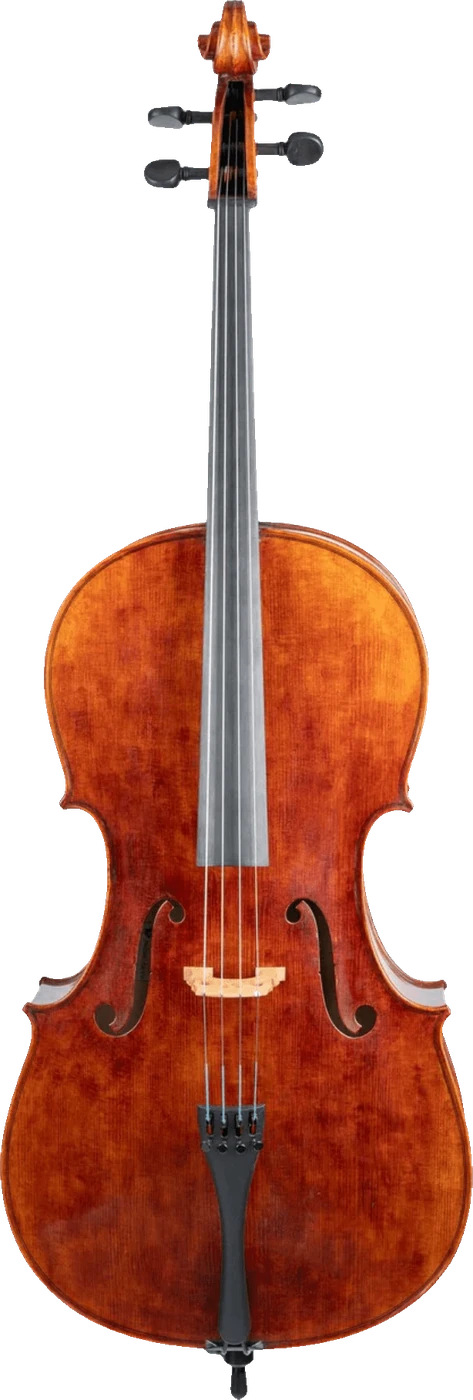 Revelle 650NS 4/4 Cello
