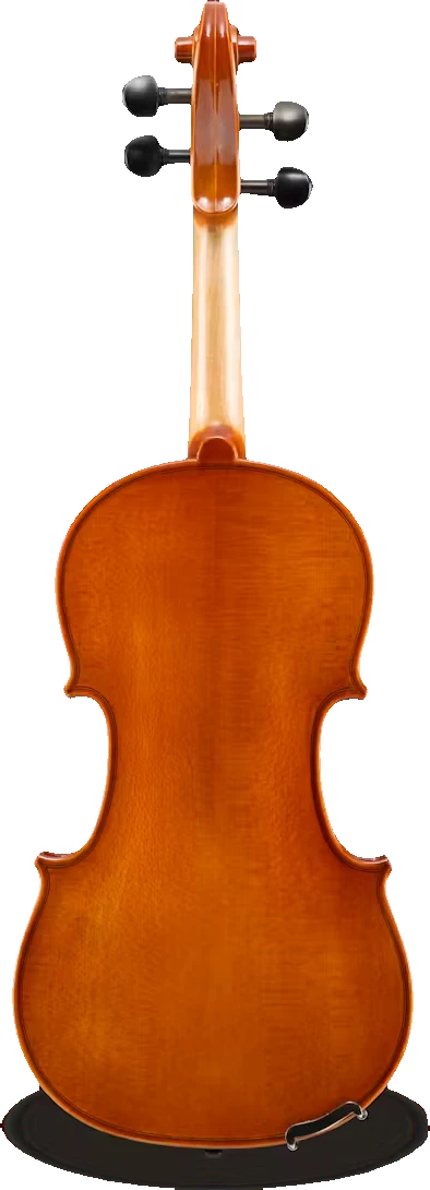 Samuel Eastman Model 80 Violin – Student Violin Outfit, back