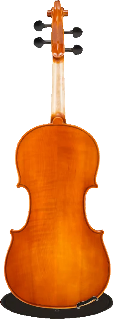 Samuel Eastman VL100 Violin Outfit – Complete Student Violin Package, back