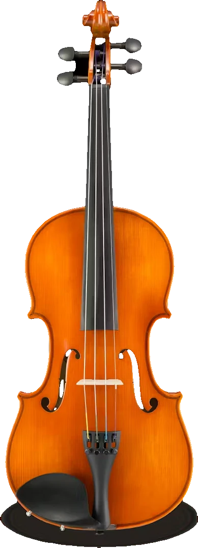 Samuel Eastman VL100 Violin Outfit – Complete Student Violin Package