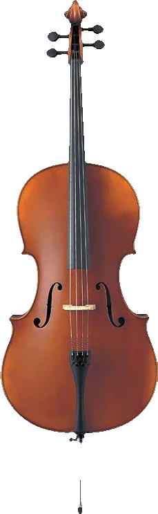 Yamaha AVC7-44SG Full Size Student Cello