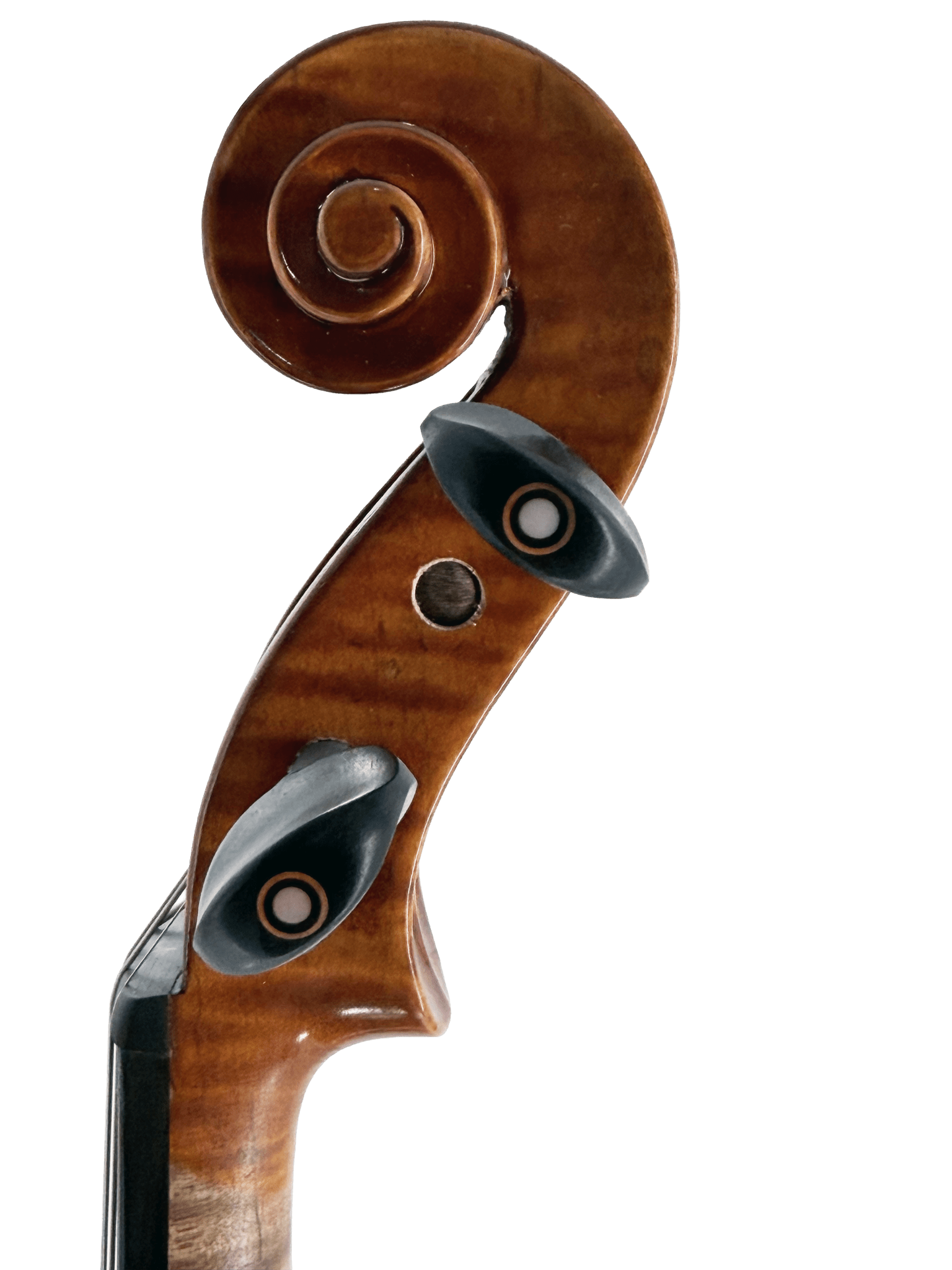 Close-up of the Thomas Zach TZ3 Violin scroll and tuning pegs against a white background, showcasing the rich brown wood and elegant design of this advanced student instrument.