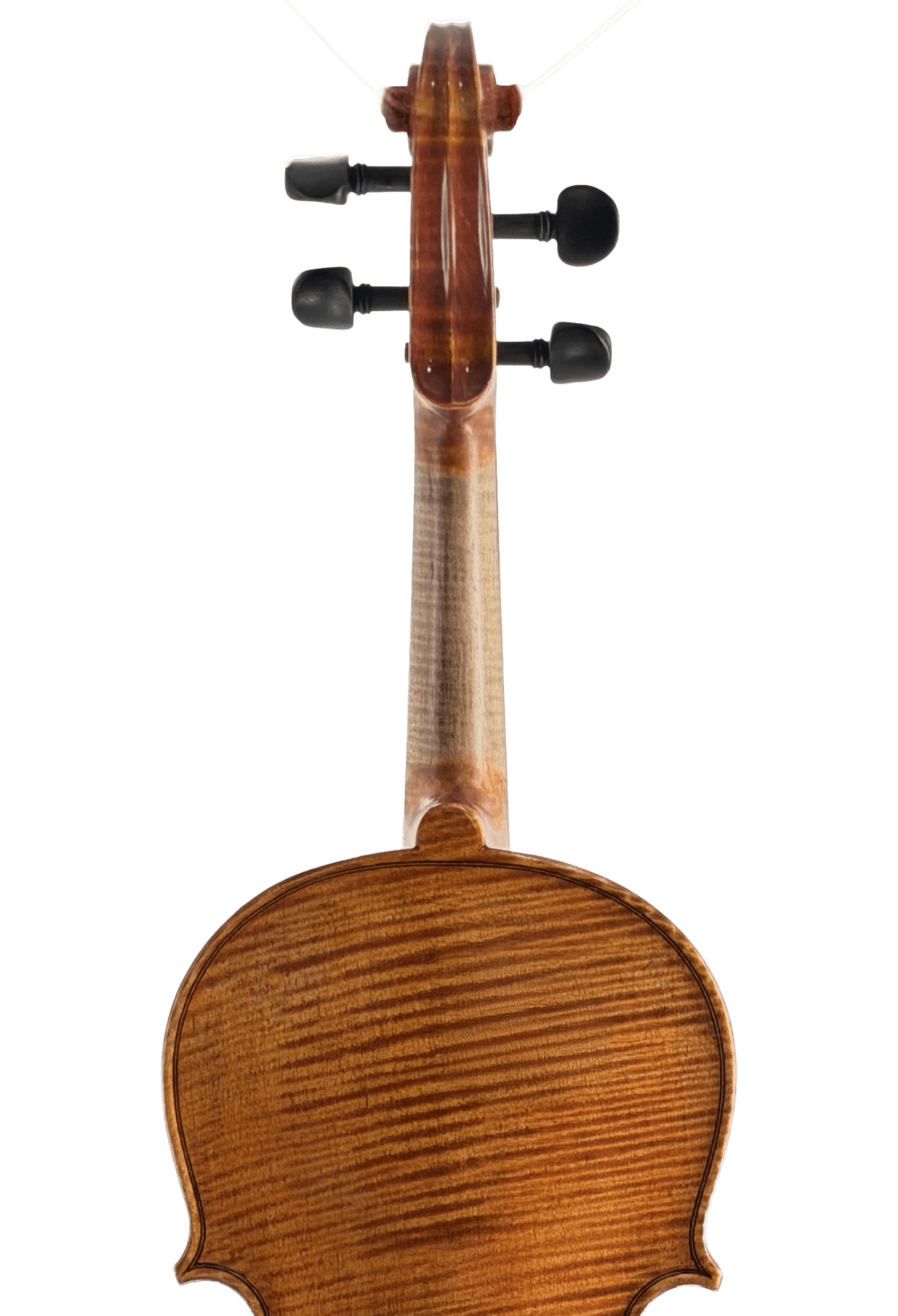 A close-up of the Thomas Zach TZ3 Violin’s back highlights its striped wood grain and neck leading to the tuning pegs, all set against a white background.