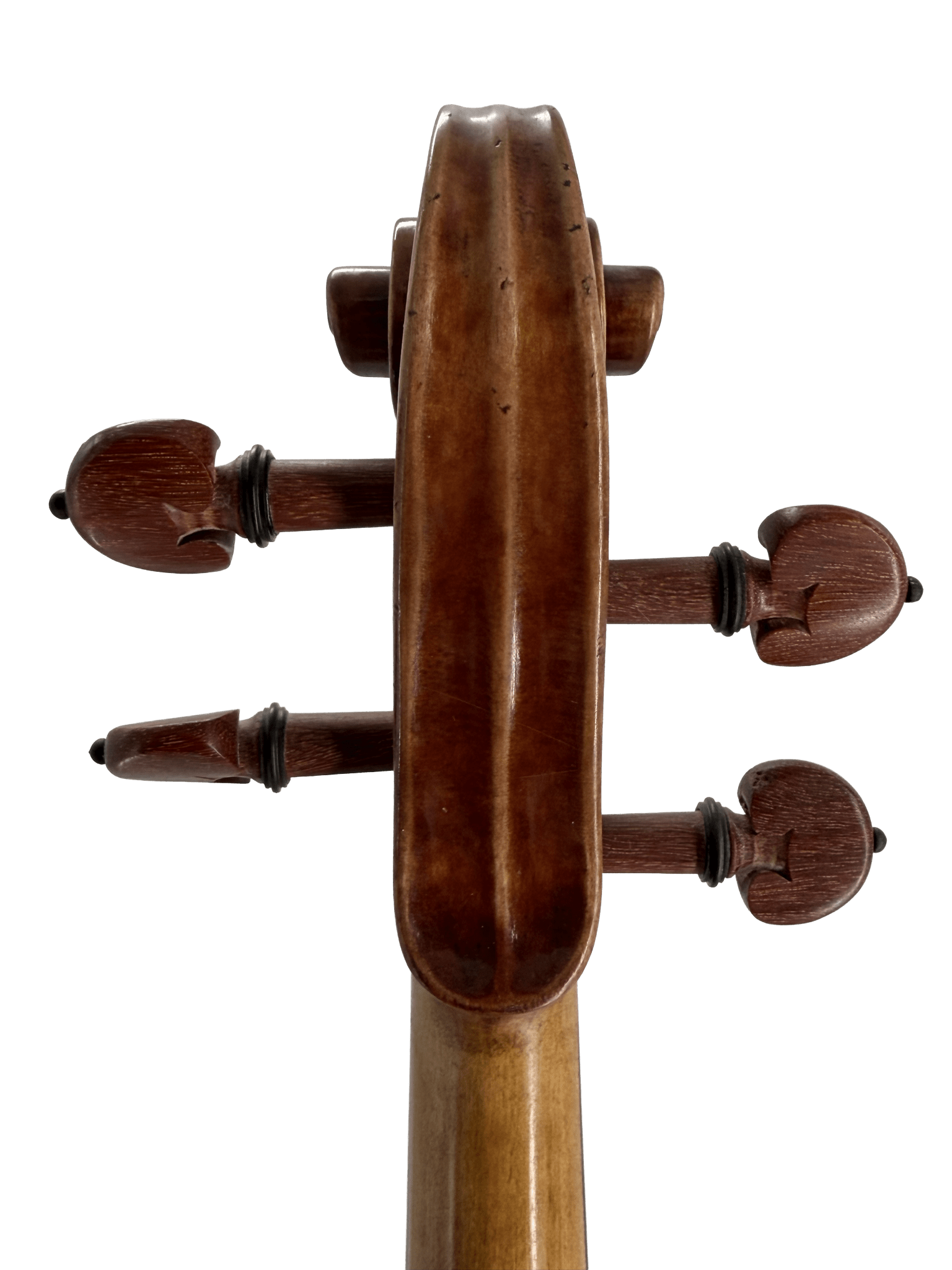 Close-up view of the scroll and tuning pegs of the Thomas Zach TZC24 Violin, perfect for advancing players, set against a plain white background.