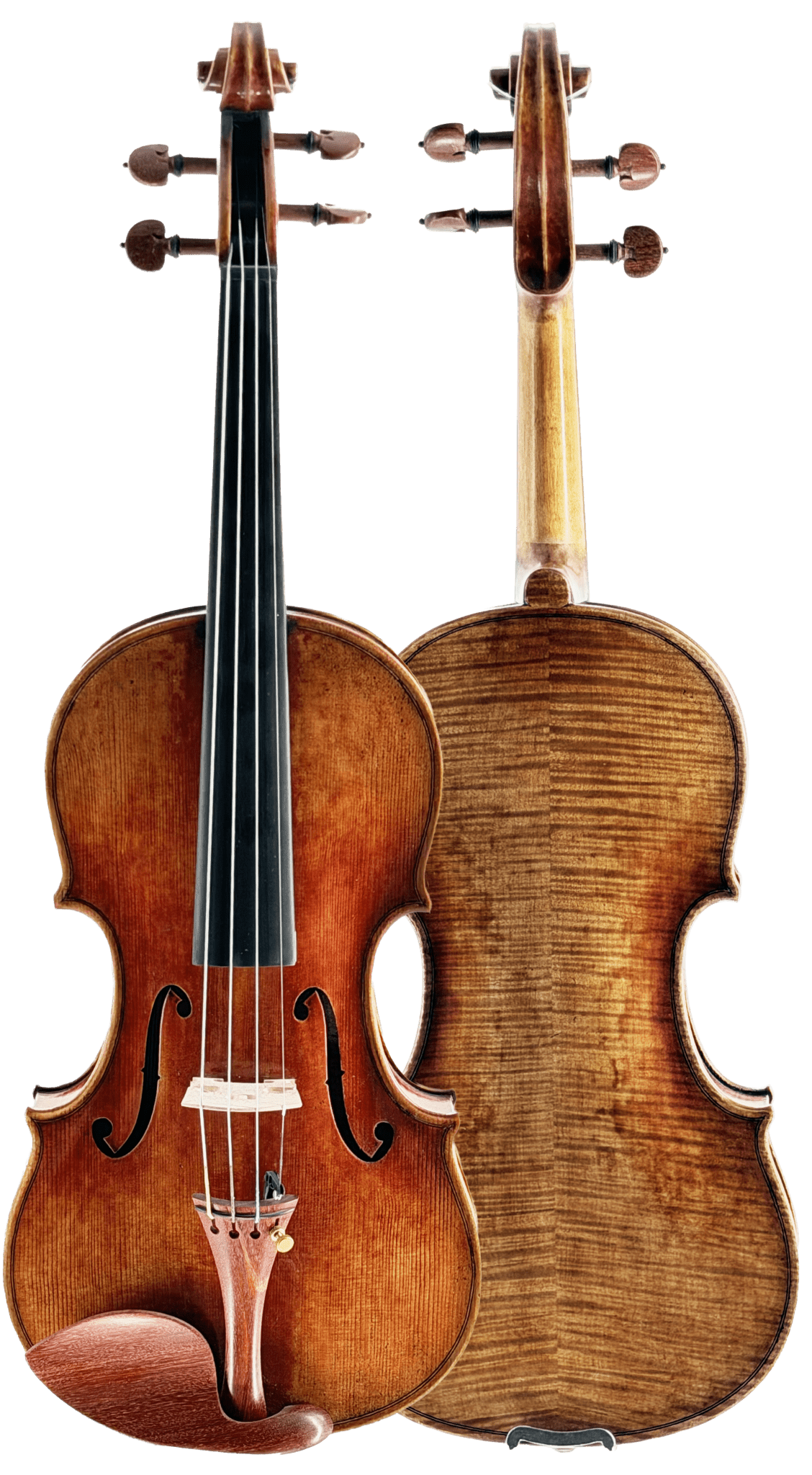 The Thomas Zach TZC24 Violin is shown front and back on a white background, displaying its strings, bridge, f-holes, and striking wood grain—perfect for advancing players seeking a mature step-up violin tone.