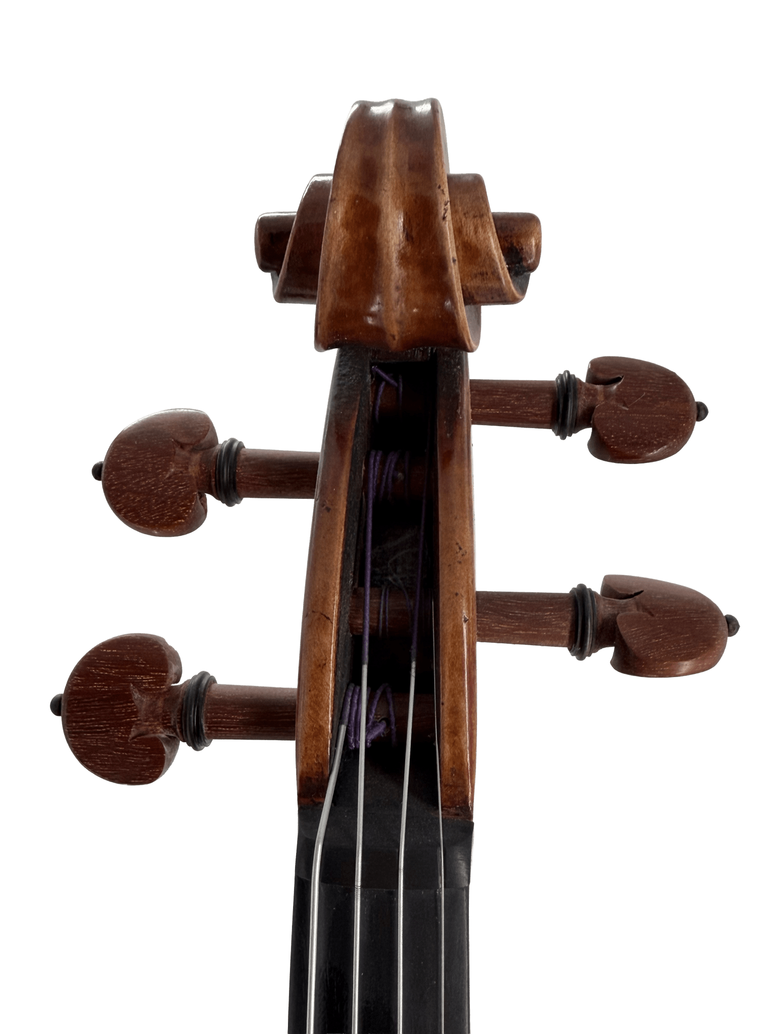 Close-up of the scroll and tuning pegs of the Thomas Zach TZC24 Violin, ideal for advancing players, viewed from the front against a plain white background.