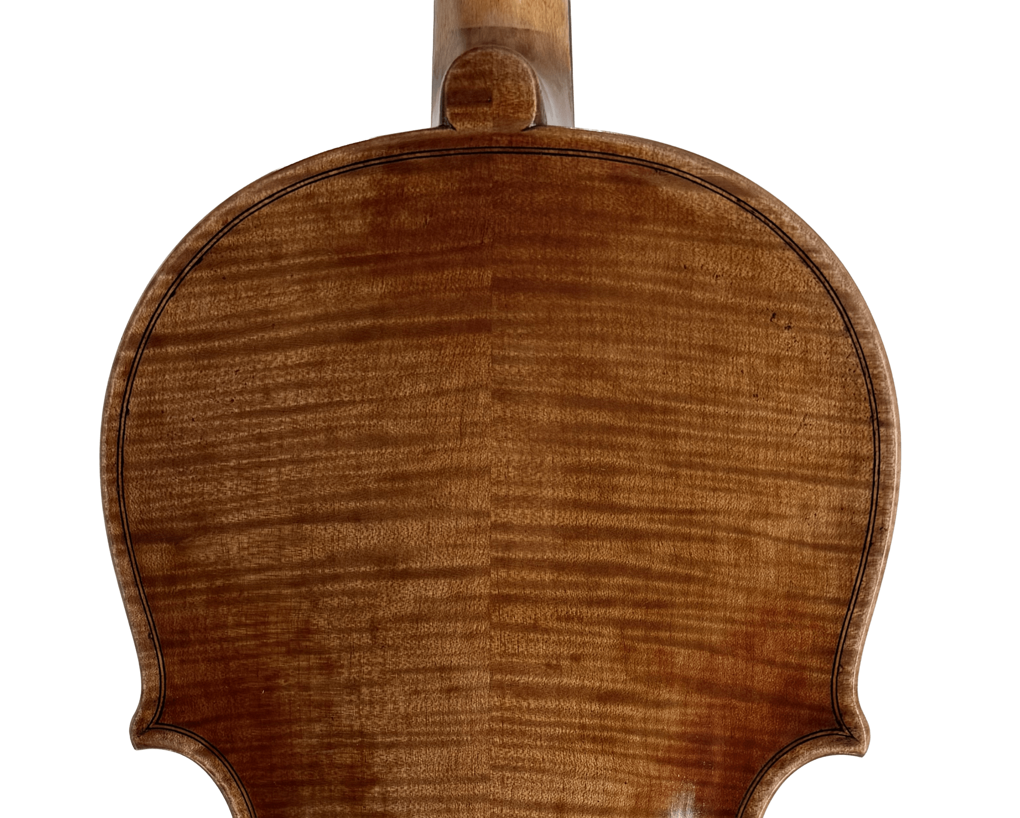 Close-up of the back of the Thomas Zach TZC24 Violin, featuring smooth, polished wood with a rich brown finish and striking tiger stripe grain—perfect for advancing players seeking a mature tone.