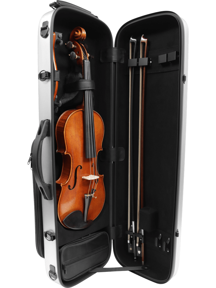 Vector Adjustable Viola Case