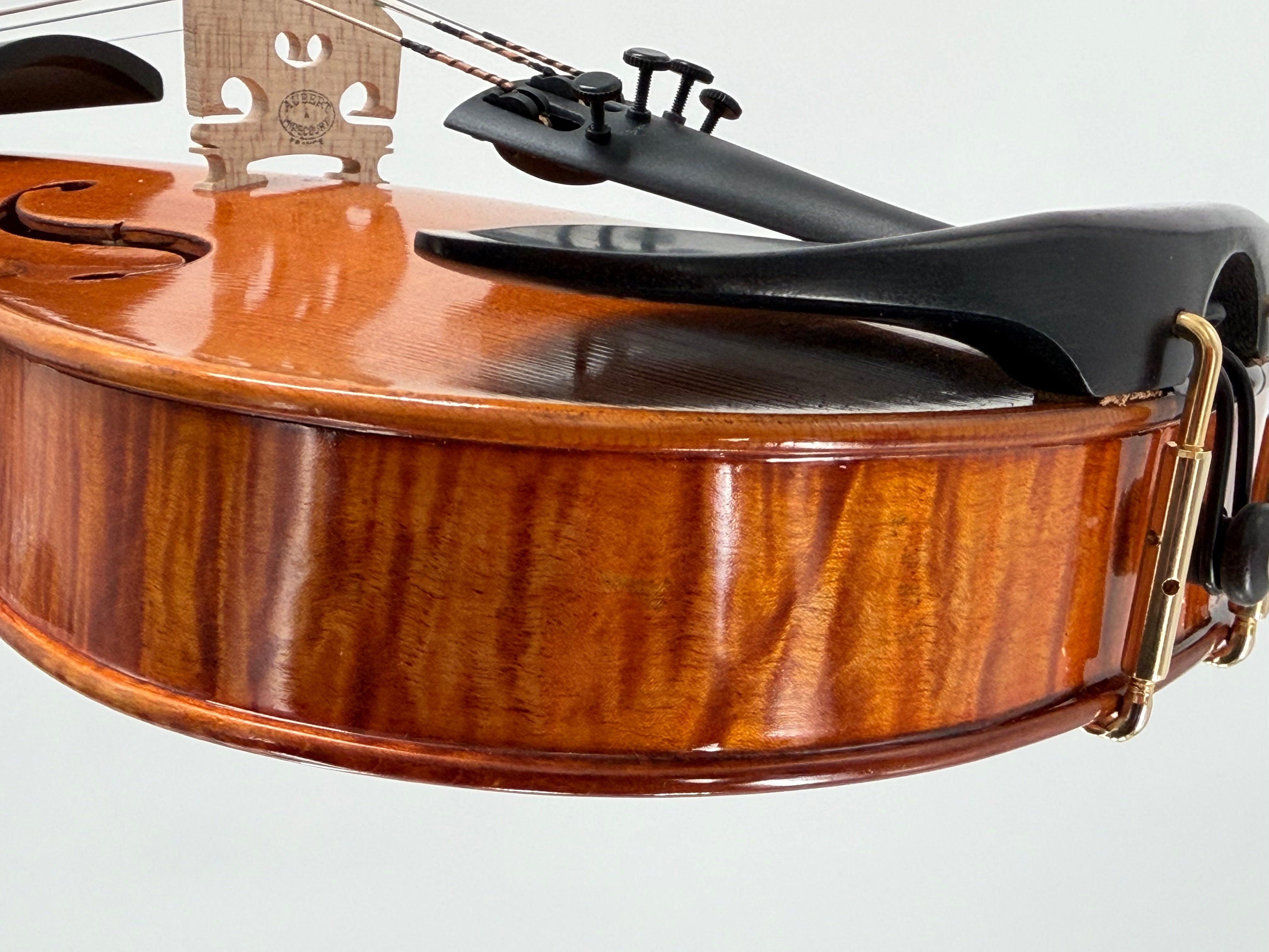 European String Instruments: A Guide to Violin, Viola, Cello & Bass