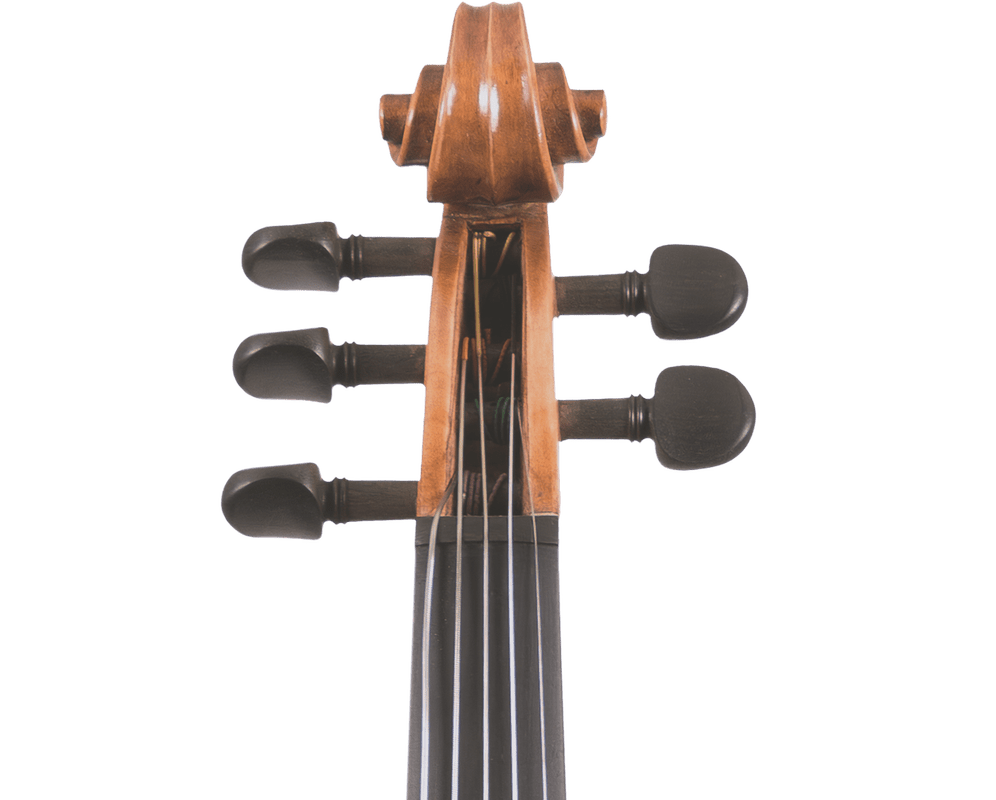 5 string Violins