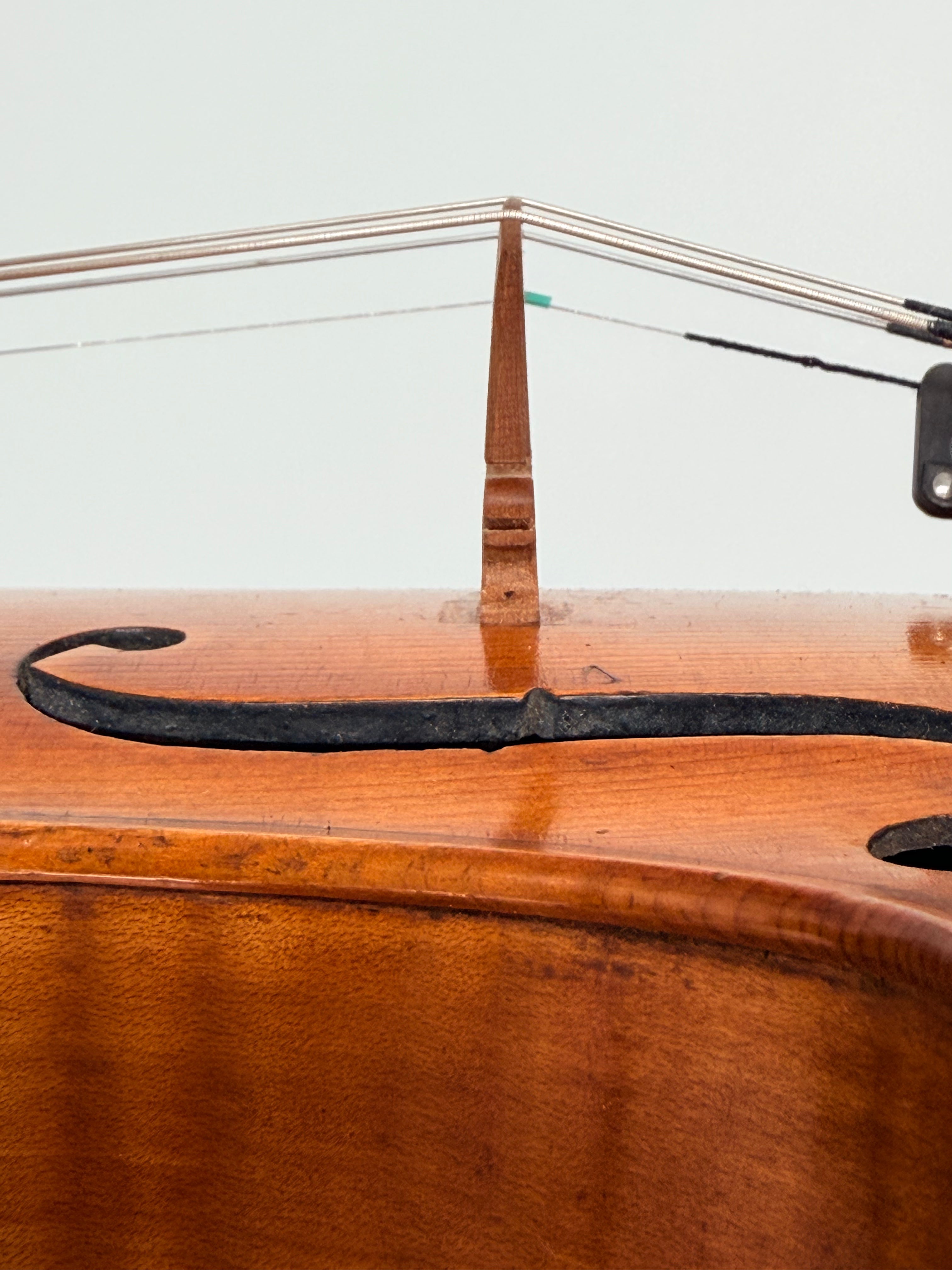 Violin scroll