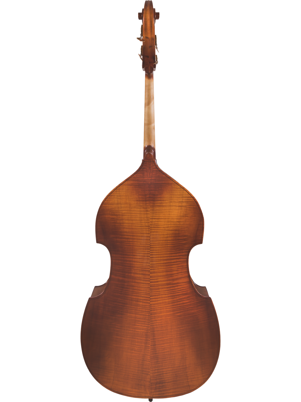 Canzona Allegra 100 Series Student Double Bass Outfit
