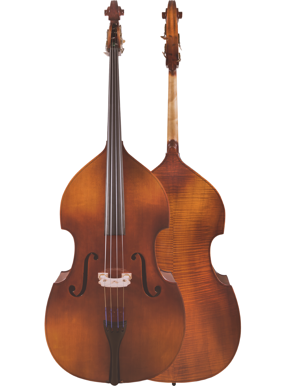 Canzona 100 Series Allegra Bass Outfit