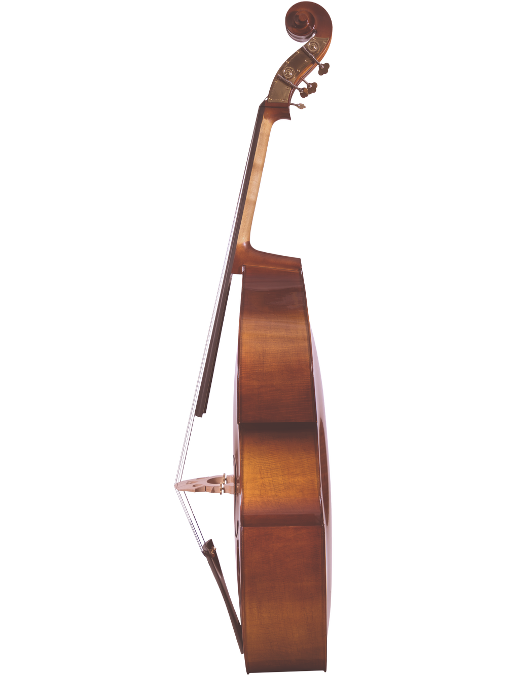 Canzona Allegra 100 Series Student Double Bass Outfit