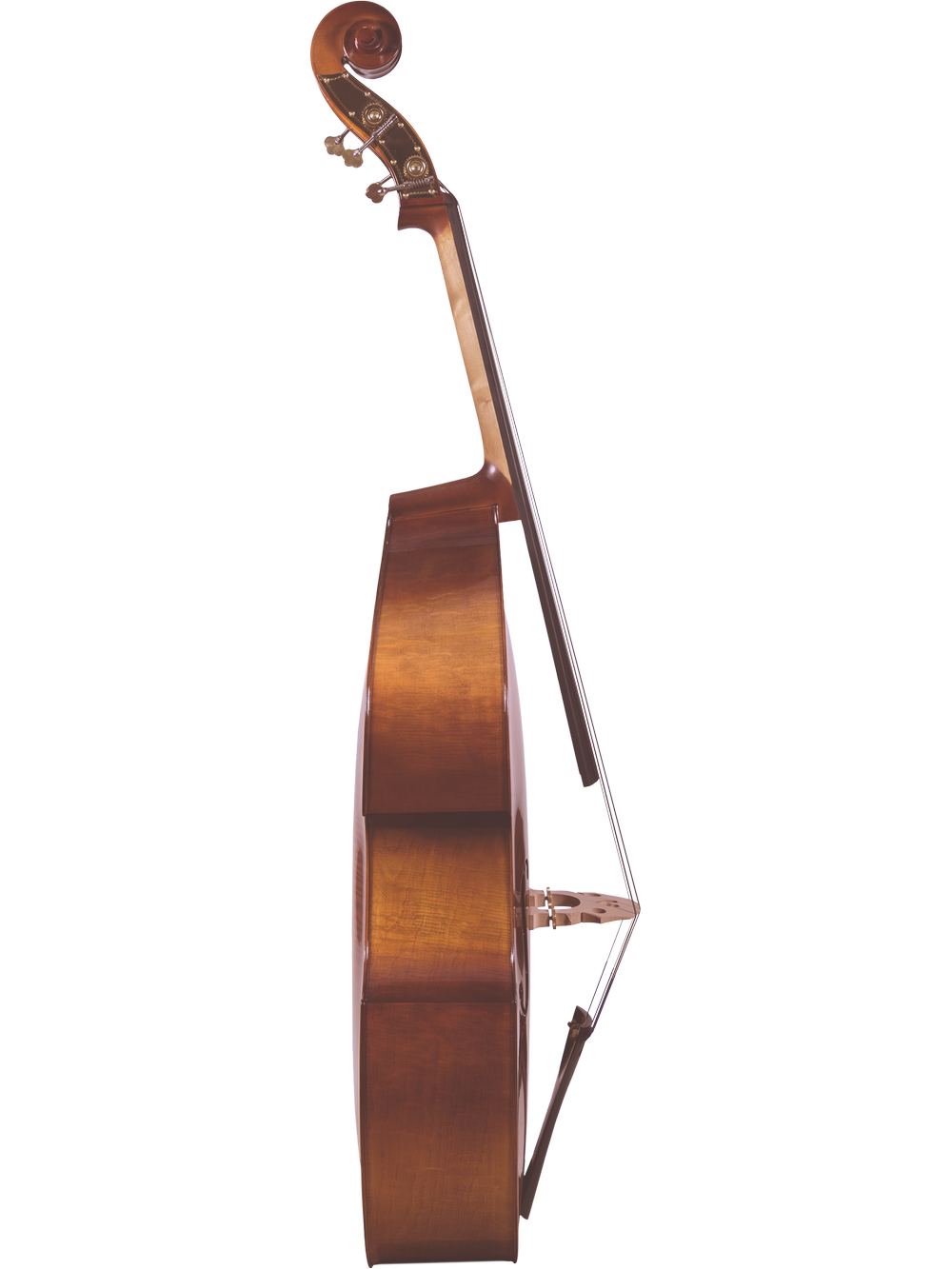 Canzona Allegra 100 Series Student Double Bass Outfit