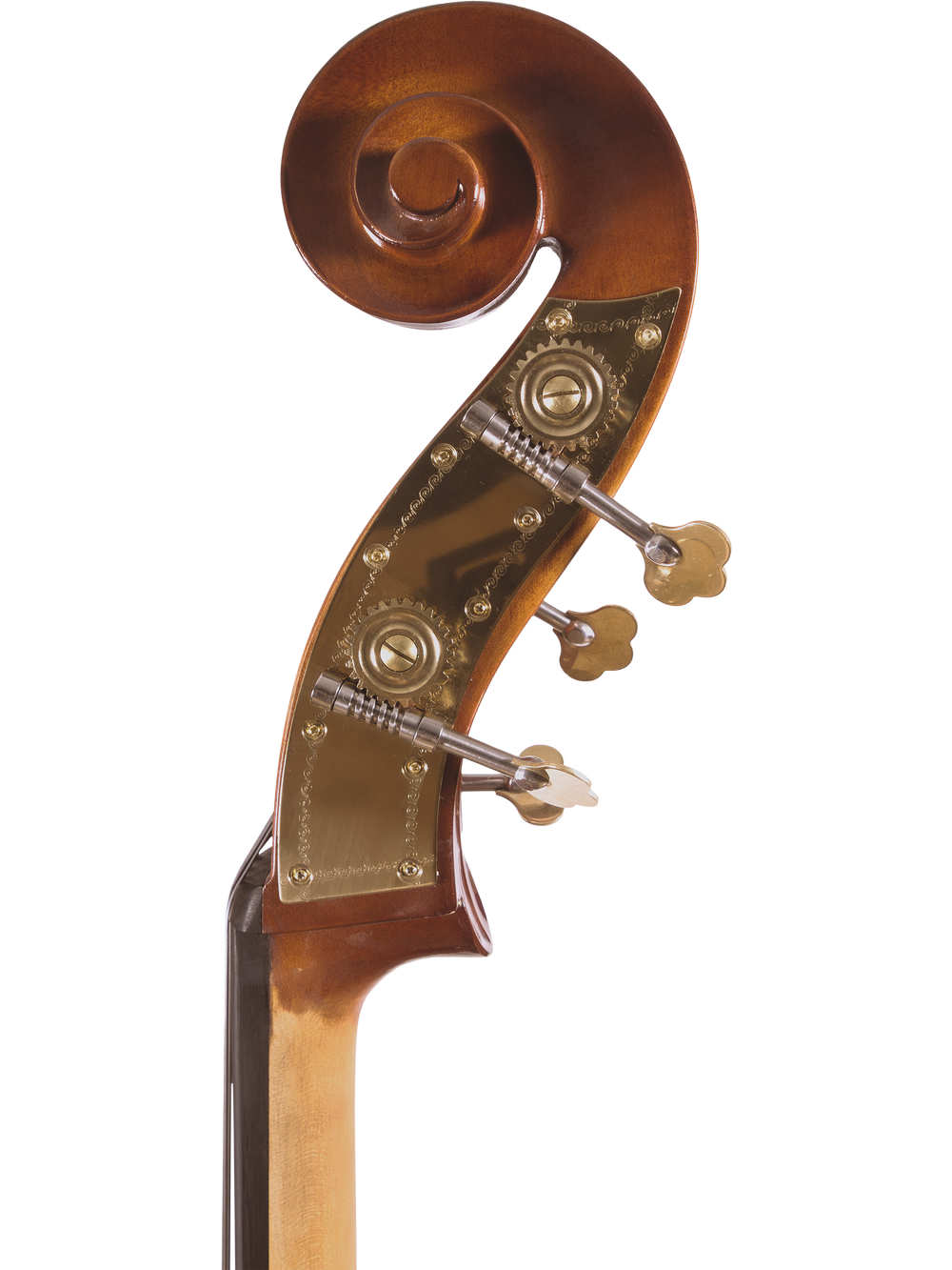 Canzona Allegra 100 Series Student Double Bass Outfit