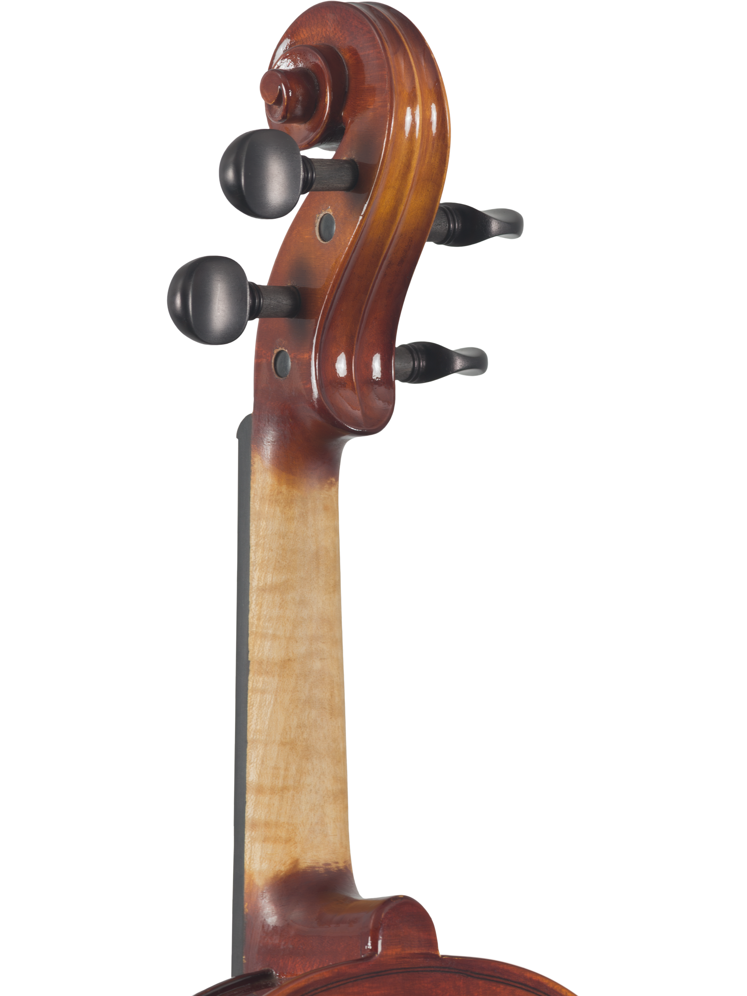 Canzona Sonata Student Violin Outfit