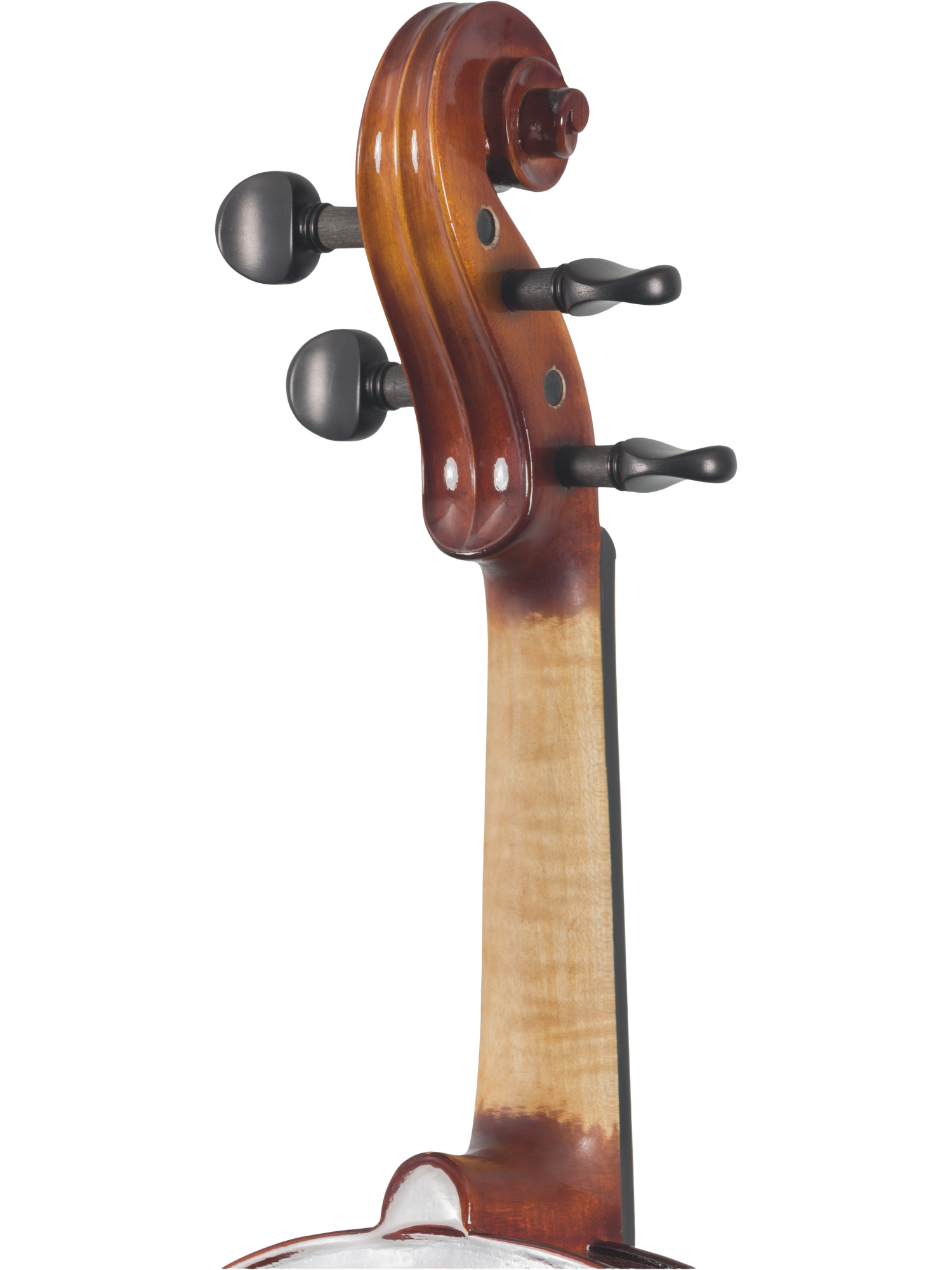 Canzona Sonata Student Violin Outfit