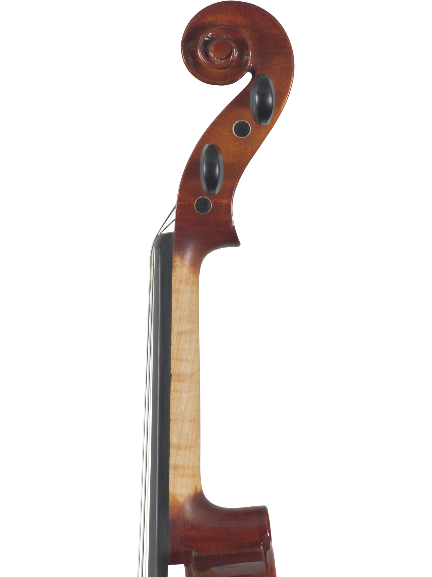 Canzona Sonata Student Violin Outfit