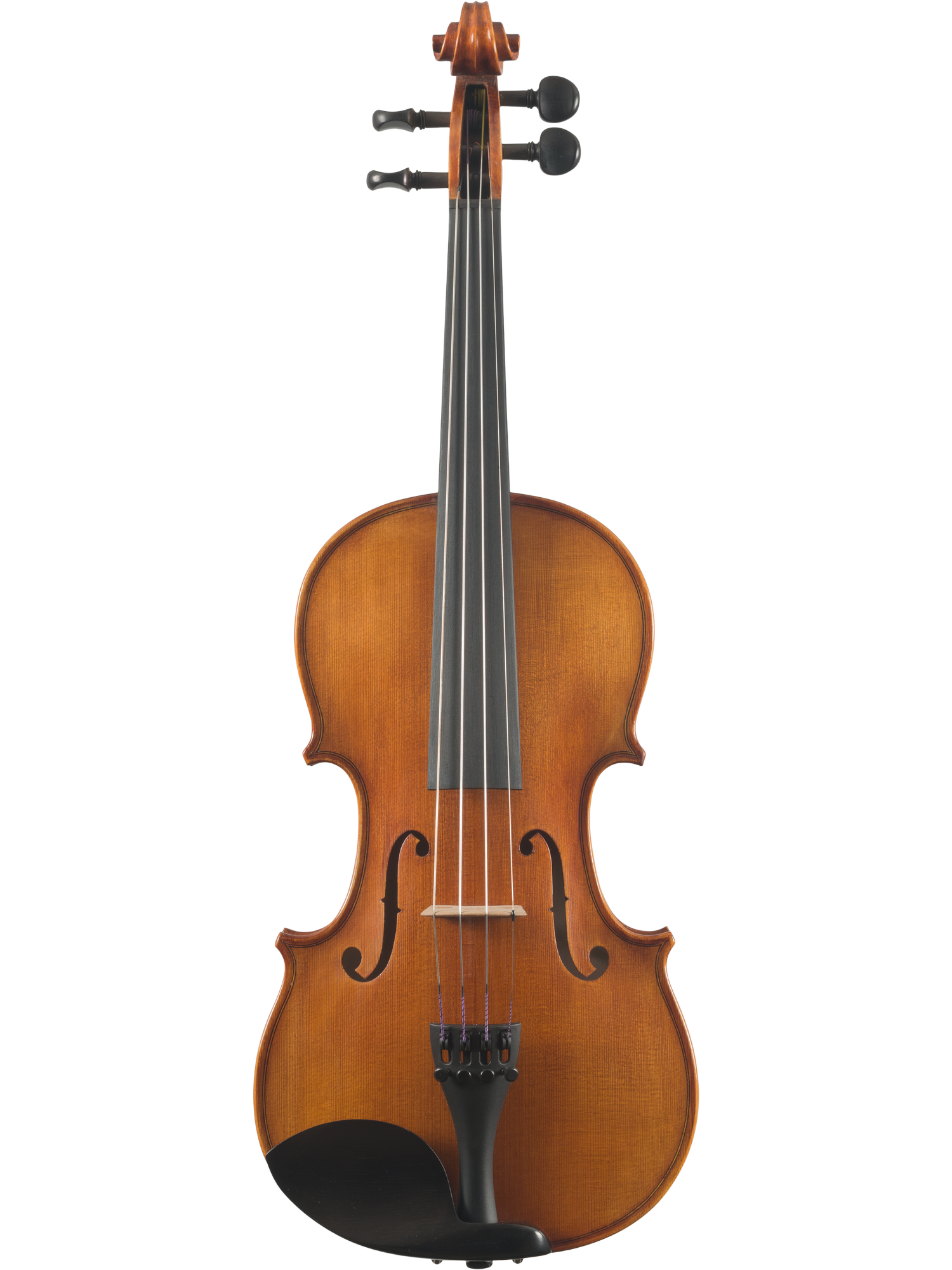 Canzona Caprice Violin Outfit