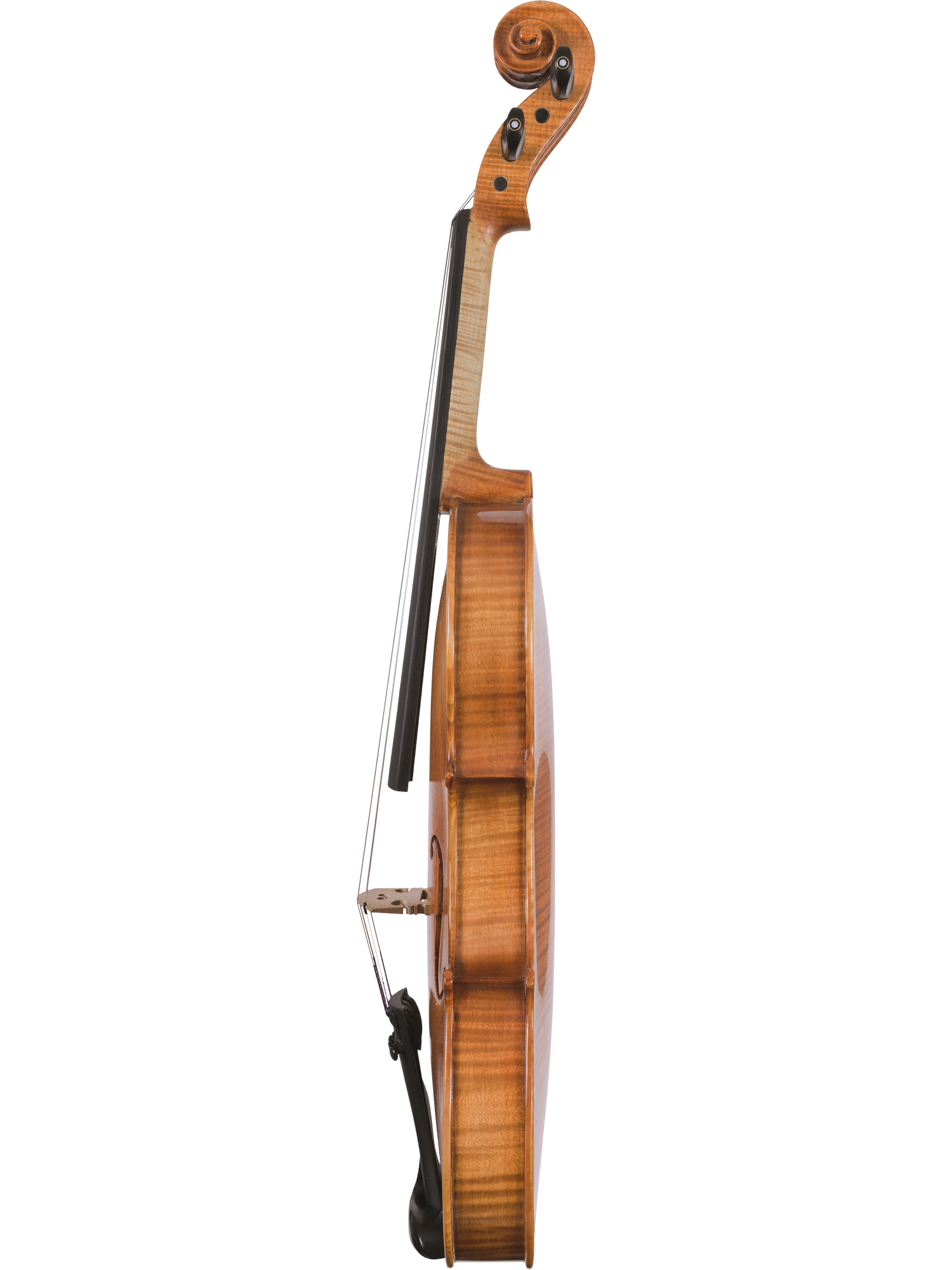 Canzona Milano Violin Outfit