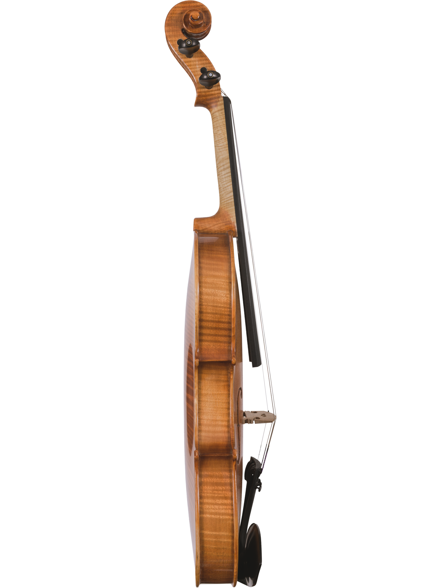 Canzona Milano Violin Outfit