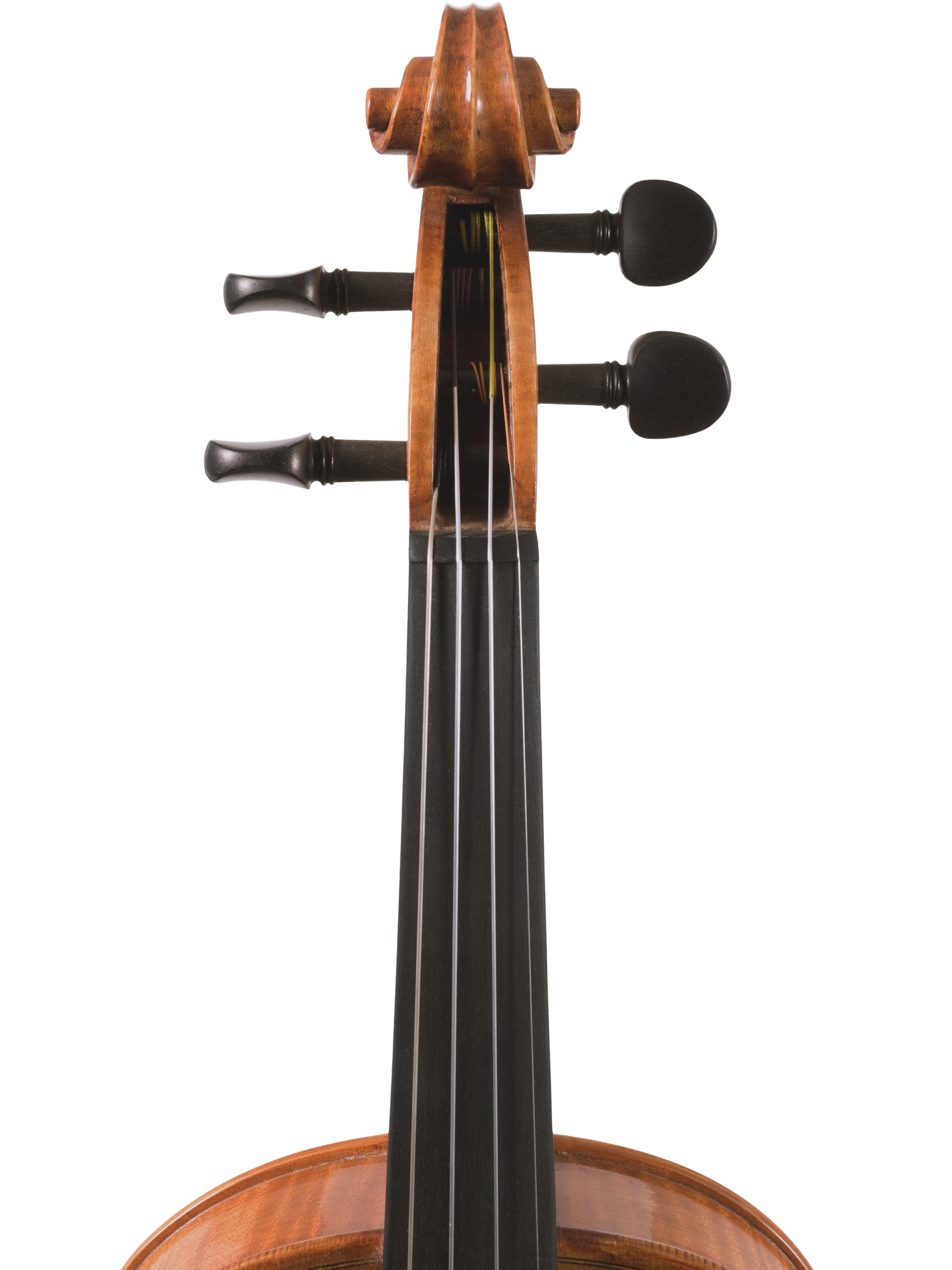 Canzona Milano Violin Outfit