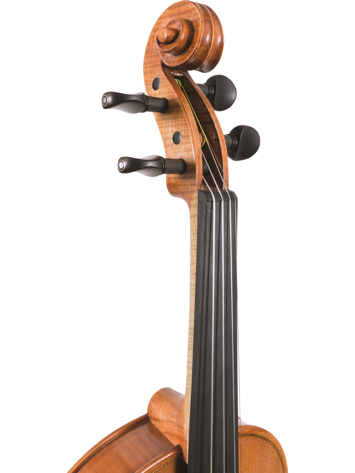 Canzona Milano Violin Outfit