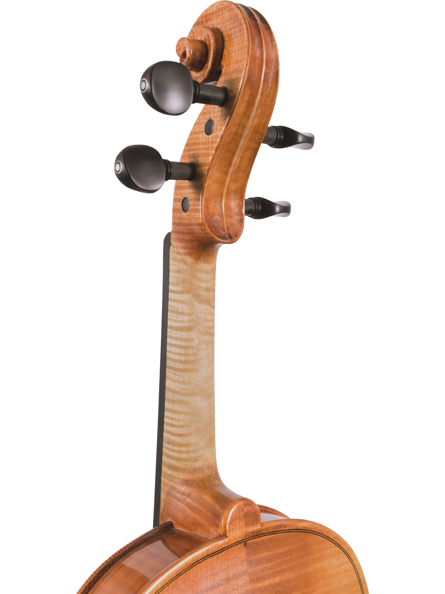 Canzona Milano Violin Outfit