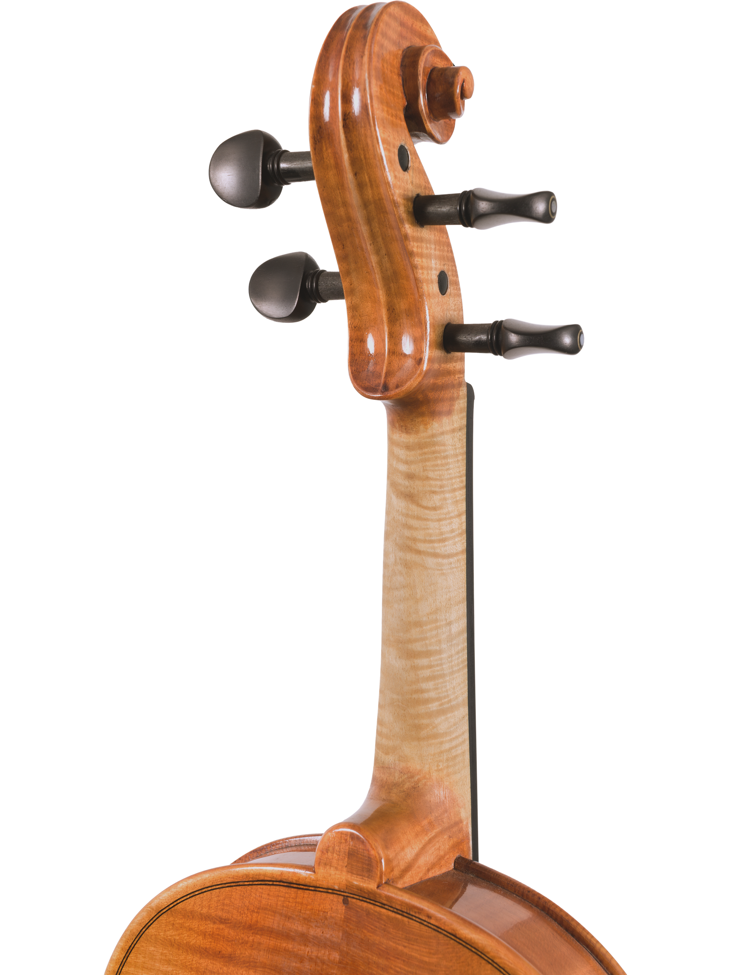 Canzona Milano Violin Outfit
